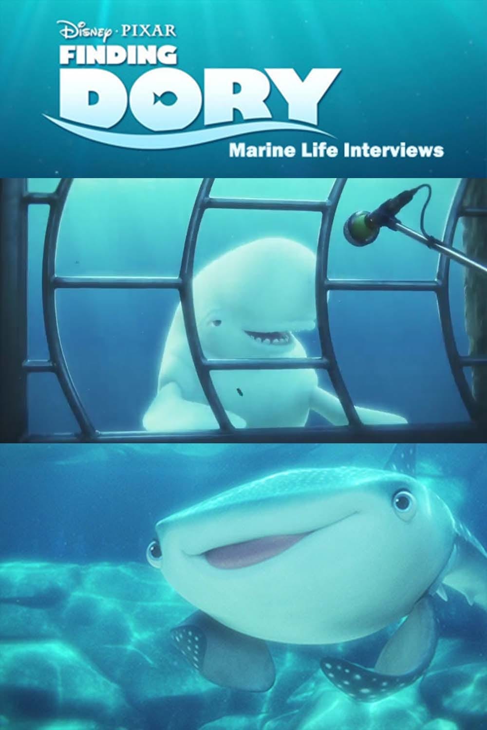 Постер Marine Life Interviews